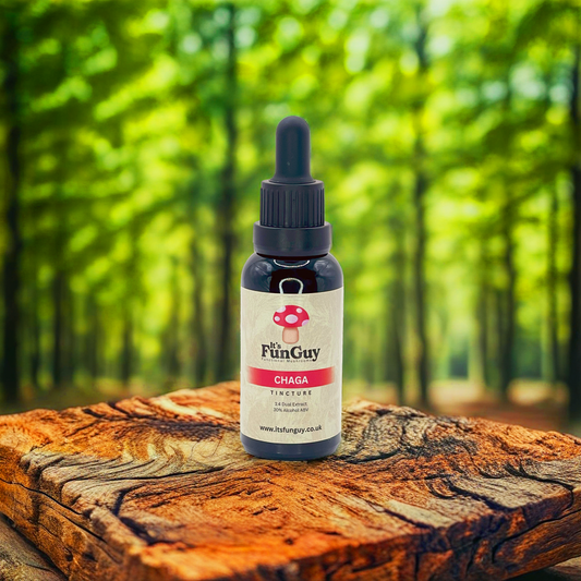 Chaga Tinctures