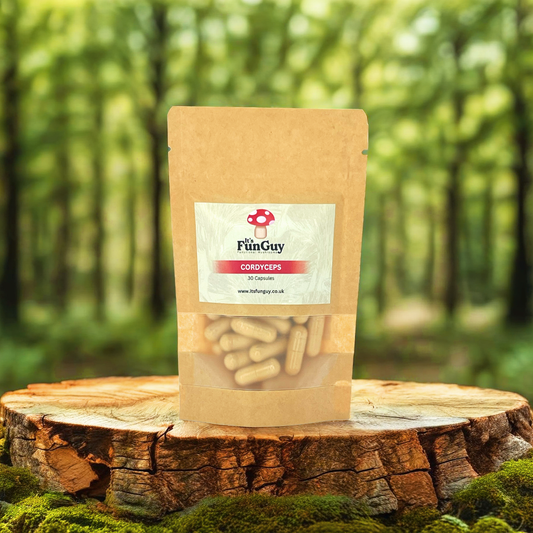 Cordyceps Capsules