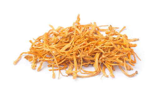 Cordyceps: The Energy-Boosting Mushroom