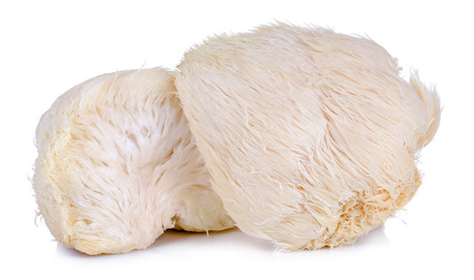 Lion’s Mane: Nature’s Brain Booster