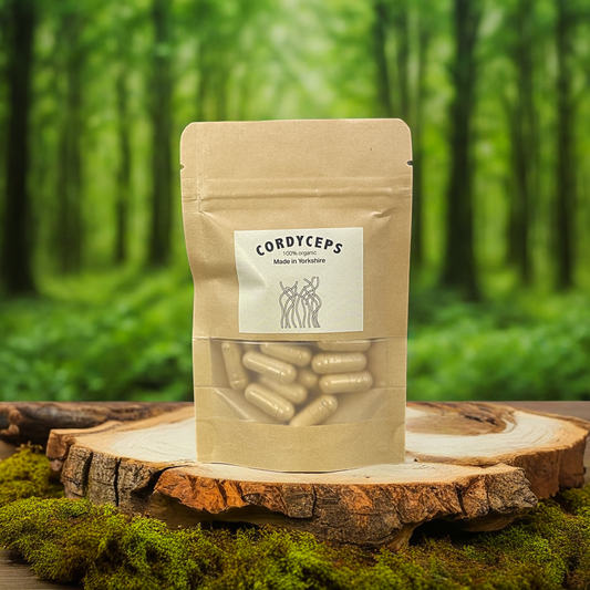 Cordyceps Capsules